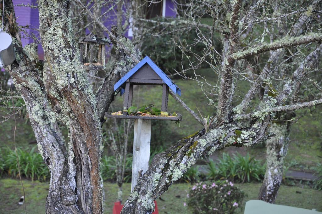 Campos Do Jordao Garden Pousada Colonia エクステリア 写真